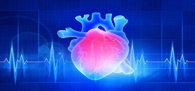 Heart failure survival analysis